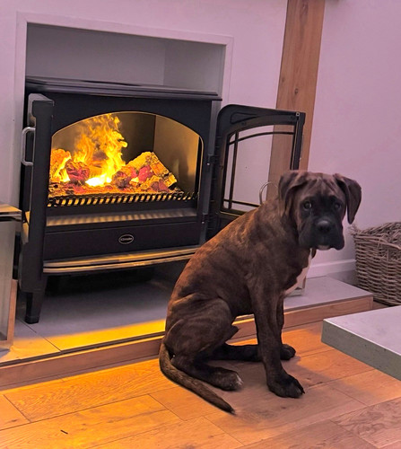 Opti myst electric - opti-myst, stove